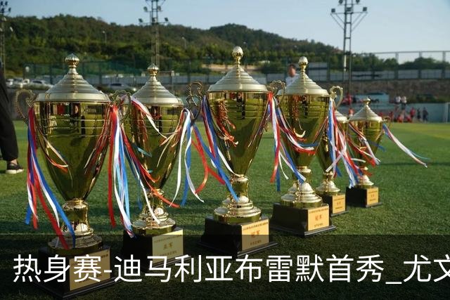 热身赛-迪马利亚布雷默首秀 尤文两小将进球2-0胜